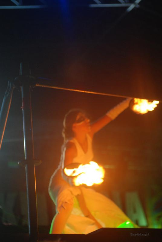 DSC_7356 copy