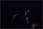 gallery_34829_32_281018